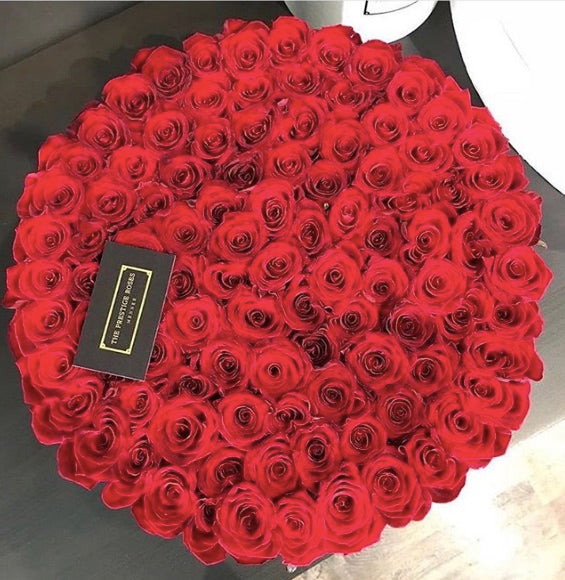 Todo lo que Debes Saber Sobre las Rosas