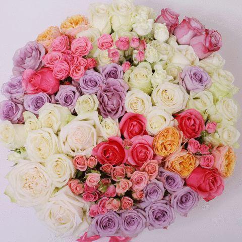 Cómo Elegir las Flores Perfectas Para el Día de la Madre