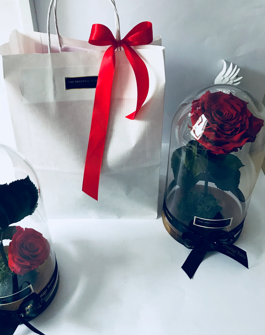 La Cúpula grande de la Bella y la Bestia 😍 la rosas preservadas. 🌹