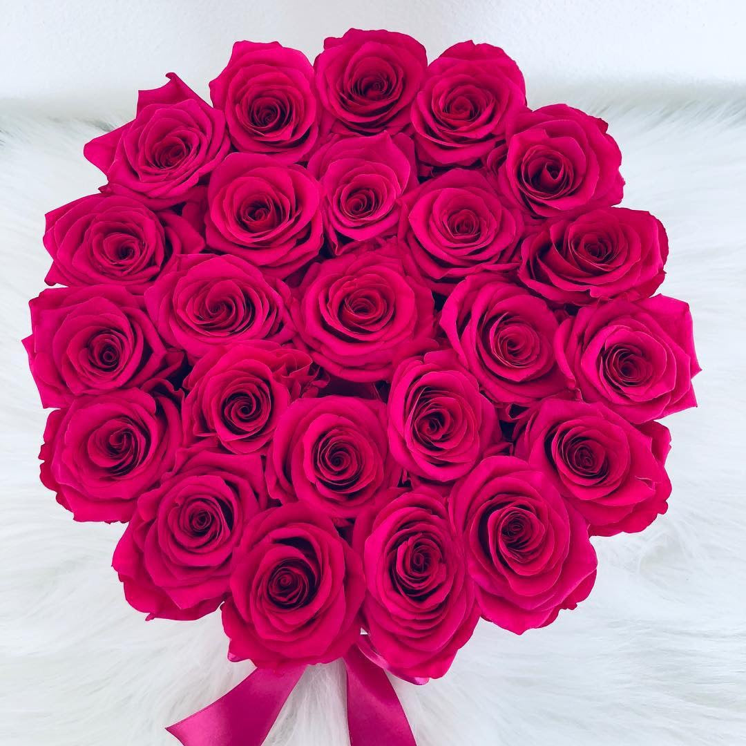 Comprar rosas y decoración para navidad de The Prestige Roses España