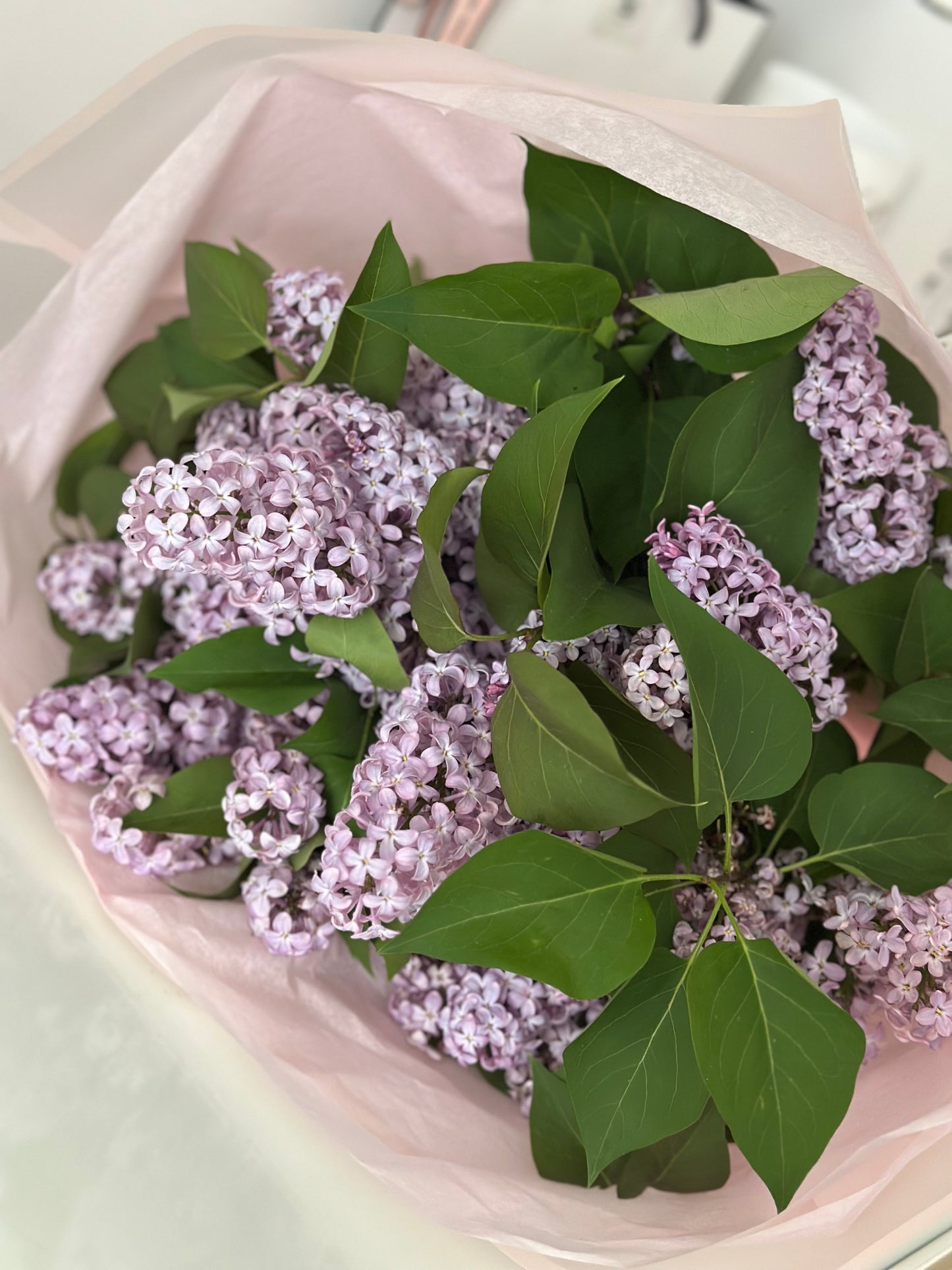 Detalle de lilas frescas naturales en tonos lavanda con hojas verdes - lujo floral en Madrid