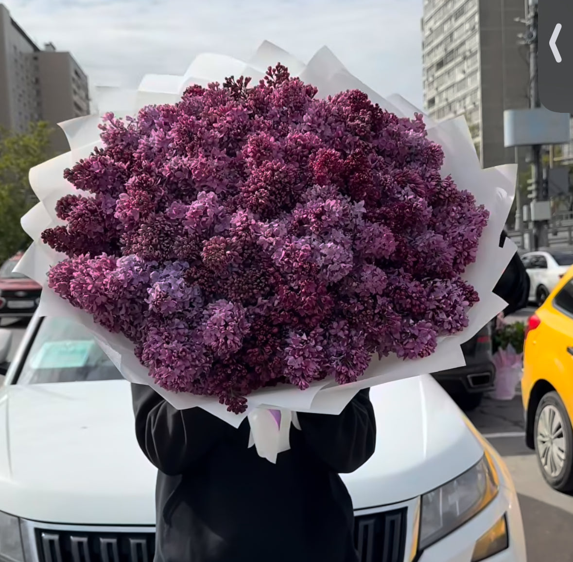 Ramo gigante de lilas frescas color lavanda en manos de repartidor - entrega en Madrid