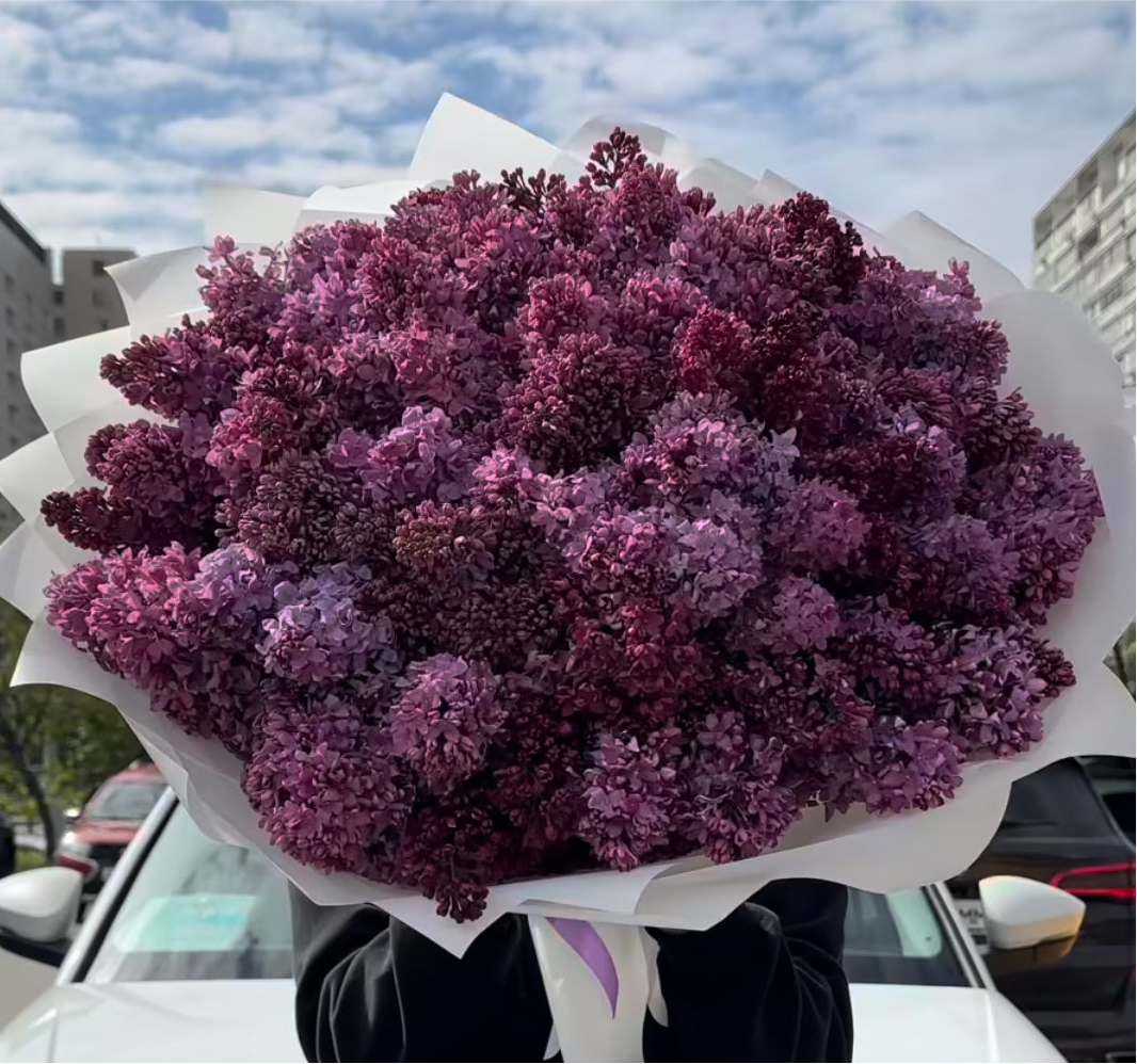 Vista posterior de ramo XXL de lilas frescas naturales - elegancia floral en cada detalle