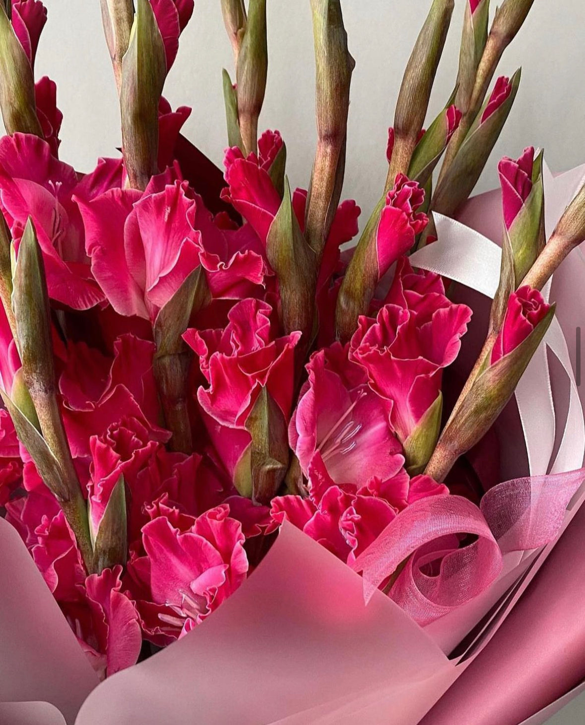 Ramo de Gladiolo naturales frescas