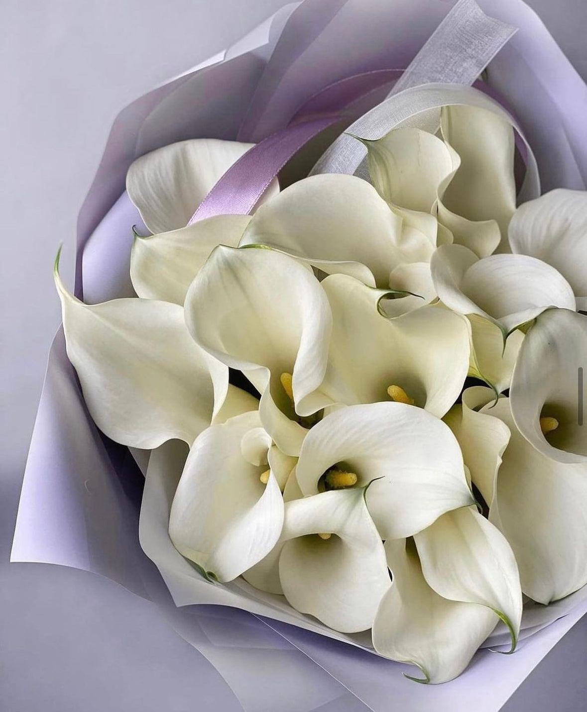 Ramo de Callas naturales frescas