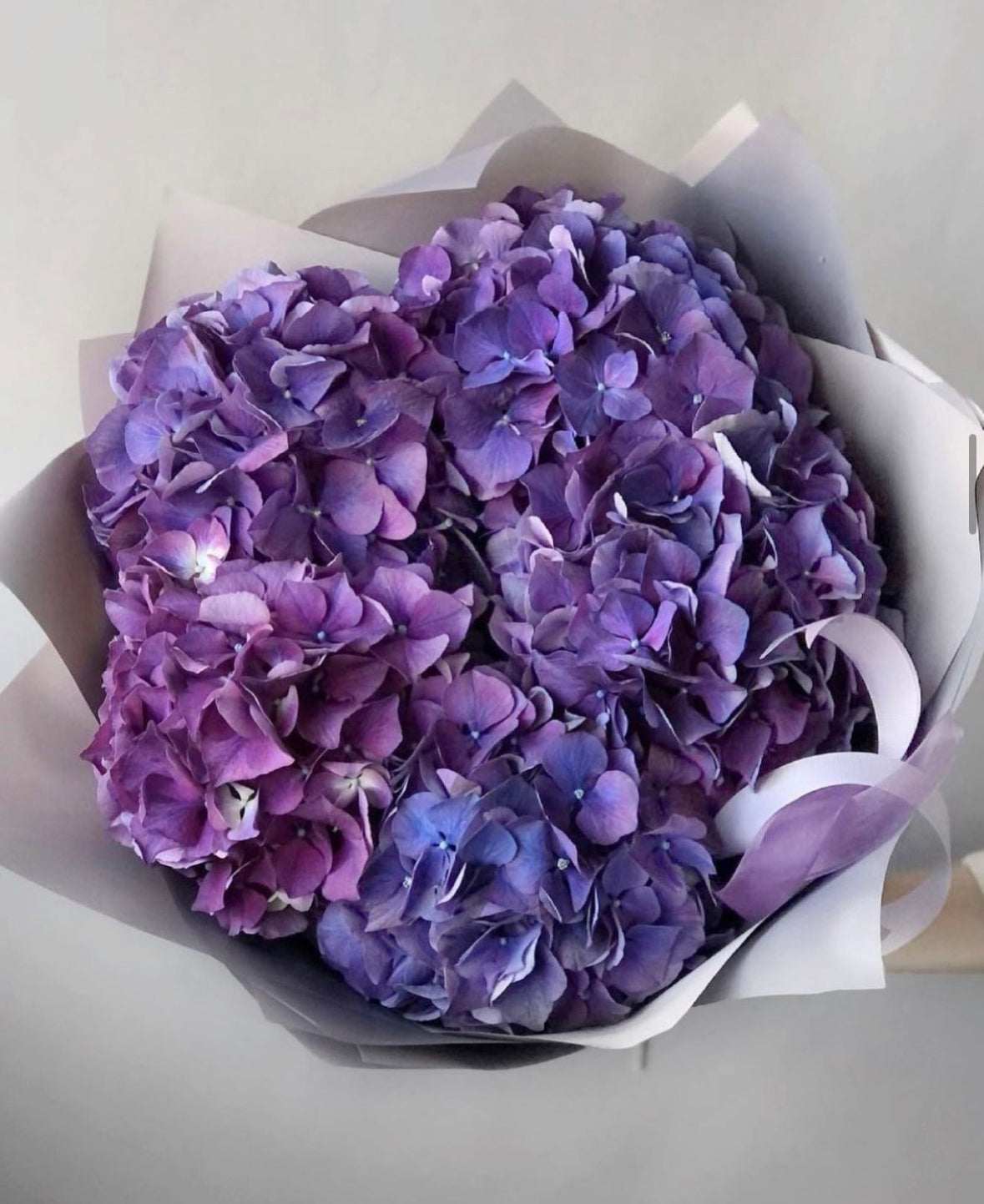 Ramo de hortensias naturales frescas