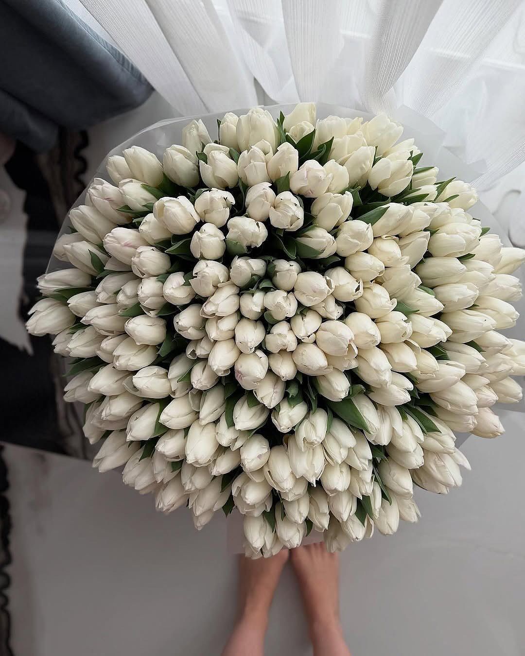 Ramo de tulipanes blancos envuelto en papel de lujo blanco con cinta elegante – The Prestige Roses Madrid