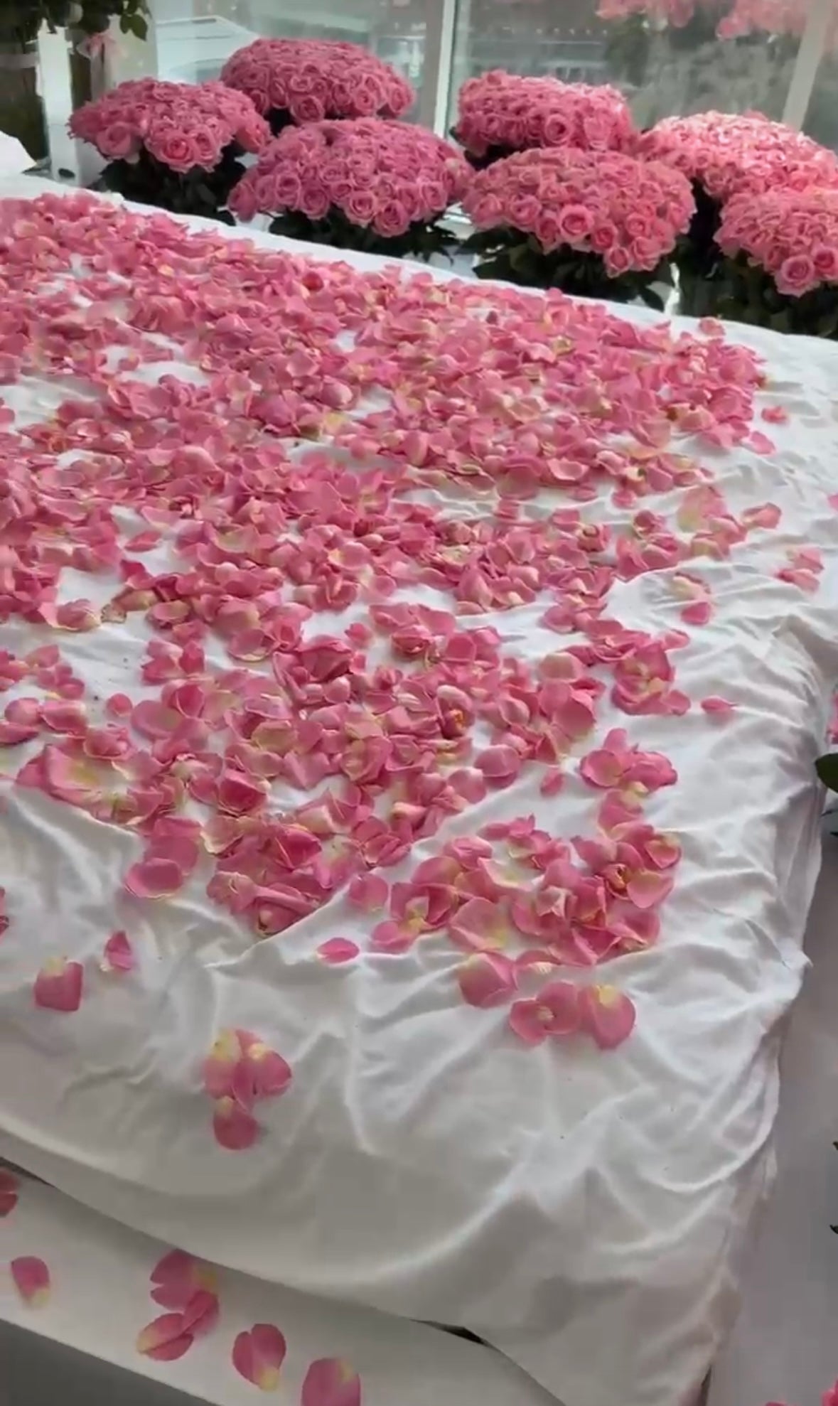 Bouquet premium de 1.000 rosas naturales en colores rojo, rosa, blanco y azul, con pétalos incluidos a domicilio