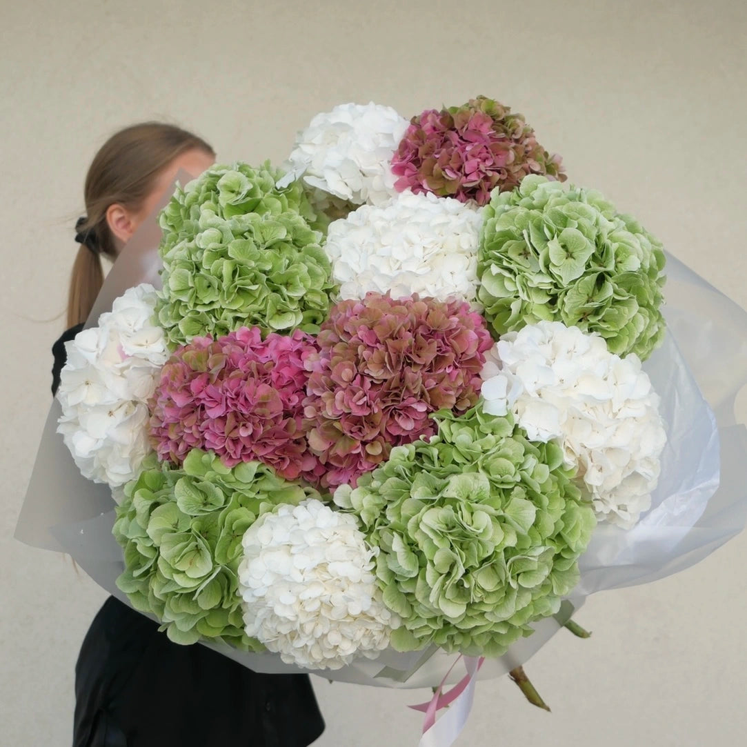Bouquet de hortensias mixtas en tonos rosados, verdes y marfil, arte floral premium de The Prestige Roses