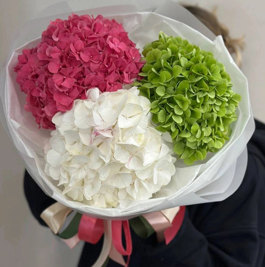 Ramo de hortensias verdes, rosadas y blancas envuelto en papel blanco, diseño elegante de The Prestige Roses Madrid
