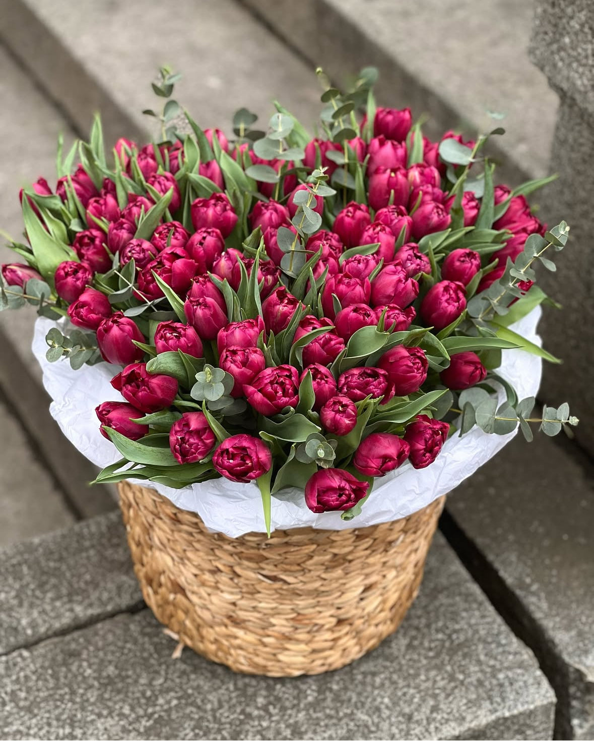 Cesta exclusiva de tulipanes granates con entrega en Madrid