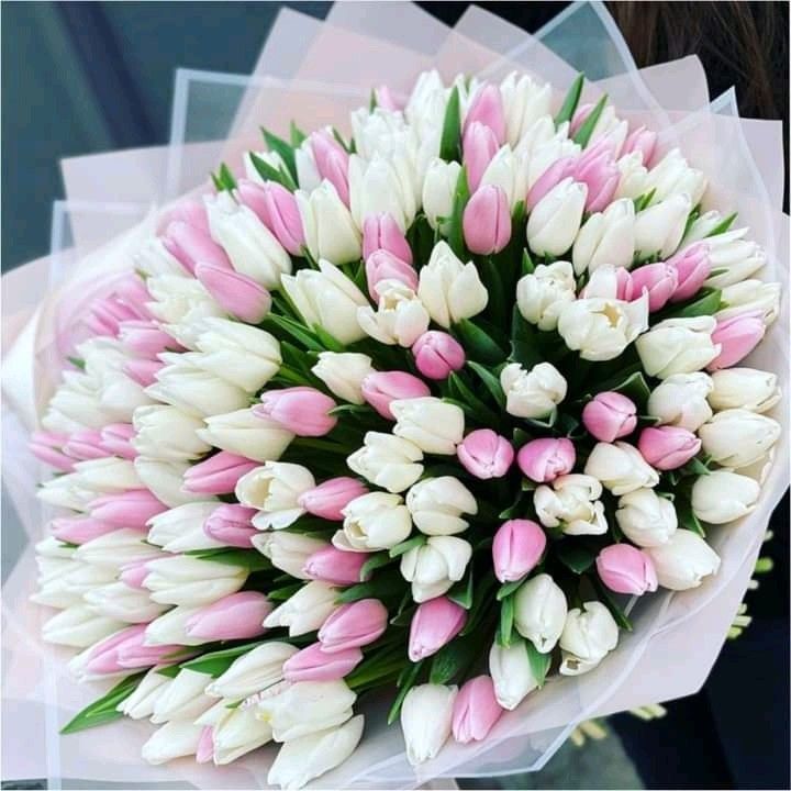 Ramo de Tulipanes Rosa – Dulzura y Elegancia Romántica