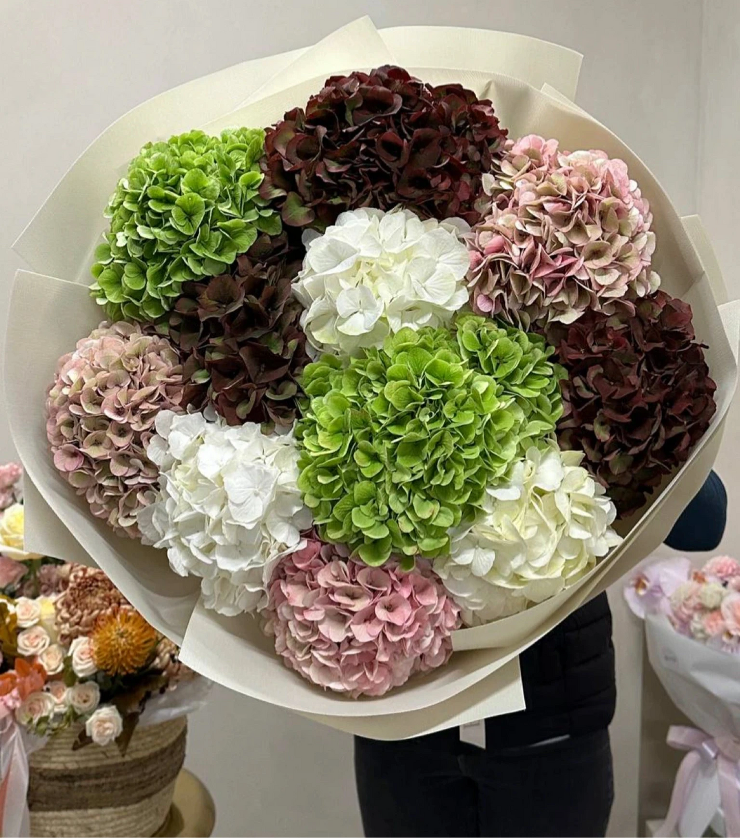 Hortensias en colores cálidos otoñales – rosa, vino y verde – en papel de lujo con lazo satinado