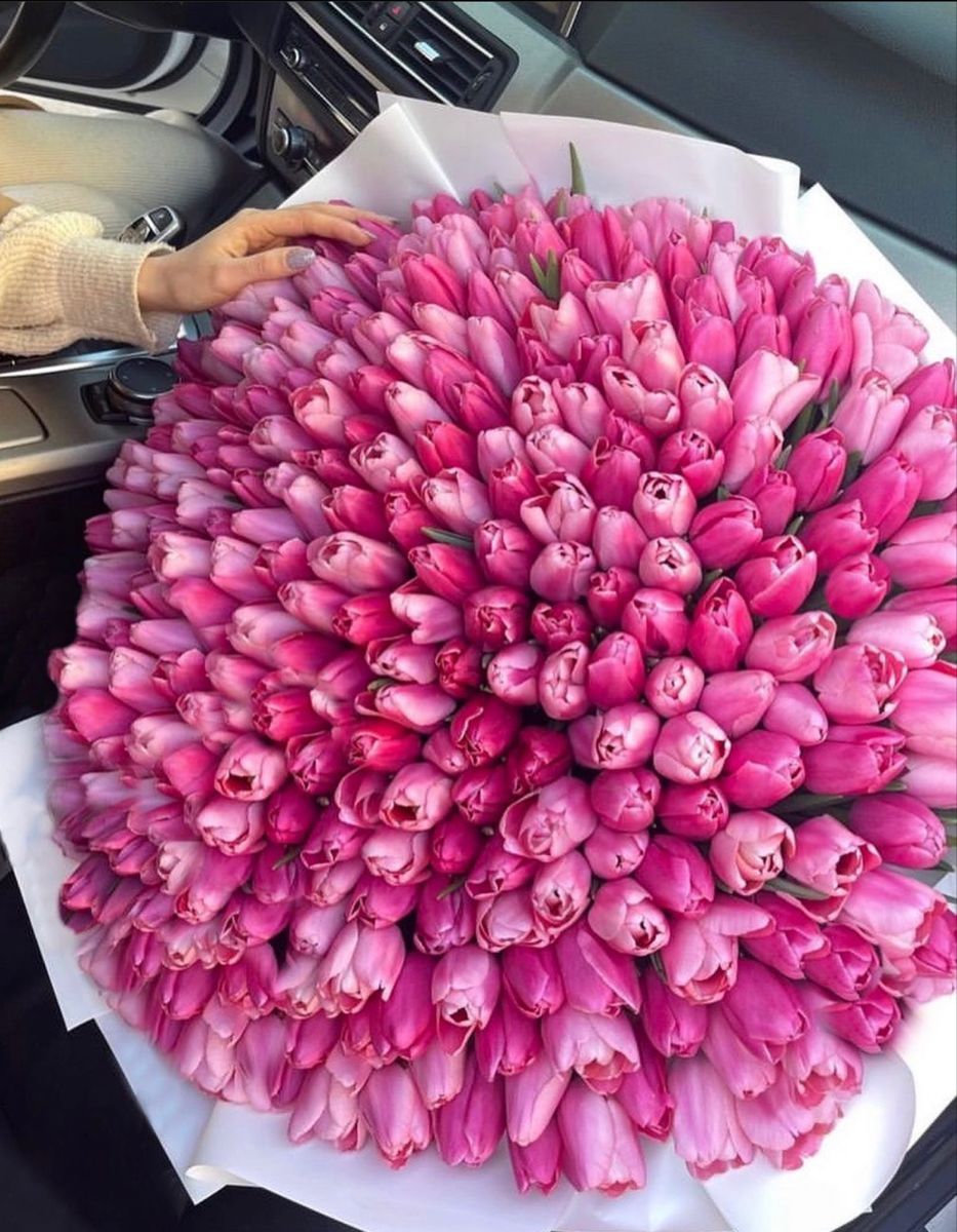 Ramo de tulipanes rosas envuelto en papel de lujo con cinta satinada – The Prestige Roses Madrid