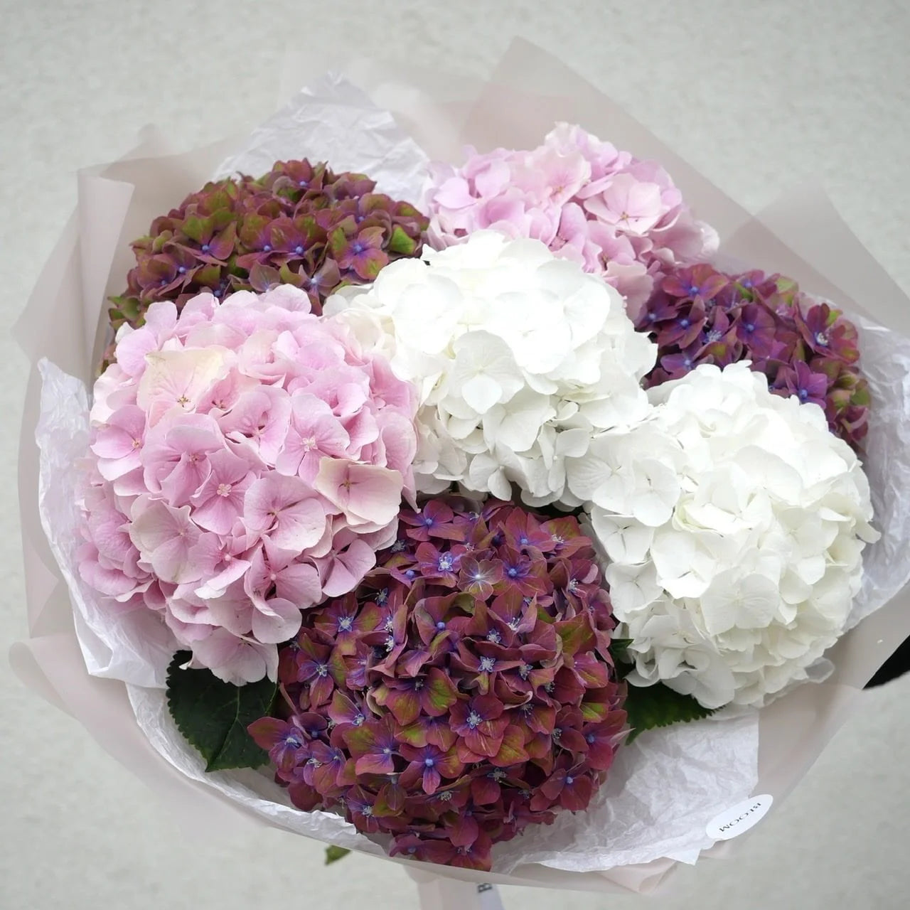 Ramo de hortensias blancas y rosadas, delicado y sofisticado, perfecto como regalo exclusivo.