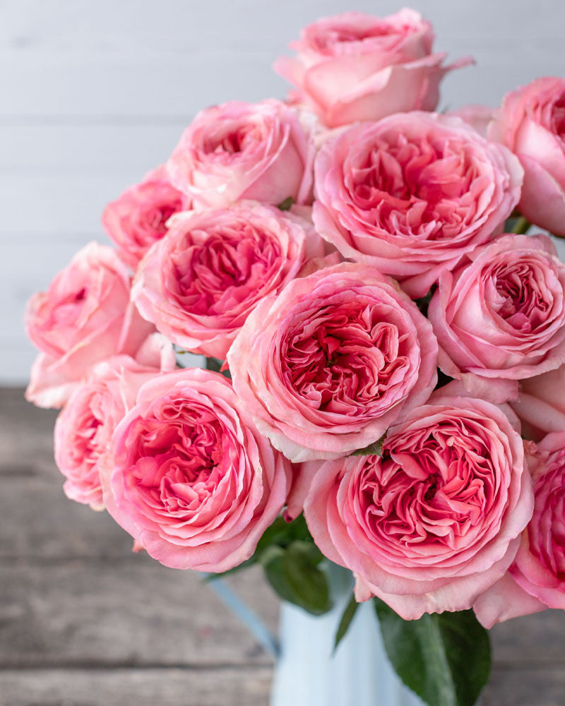 Ramo de rosas tipo peonía rosas premium en Madrid a domicilio – lujo floral natural Premium peony-style pink garden roses in in Madrid delivery natural floral luxury