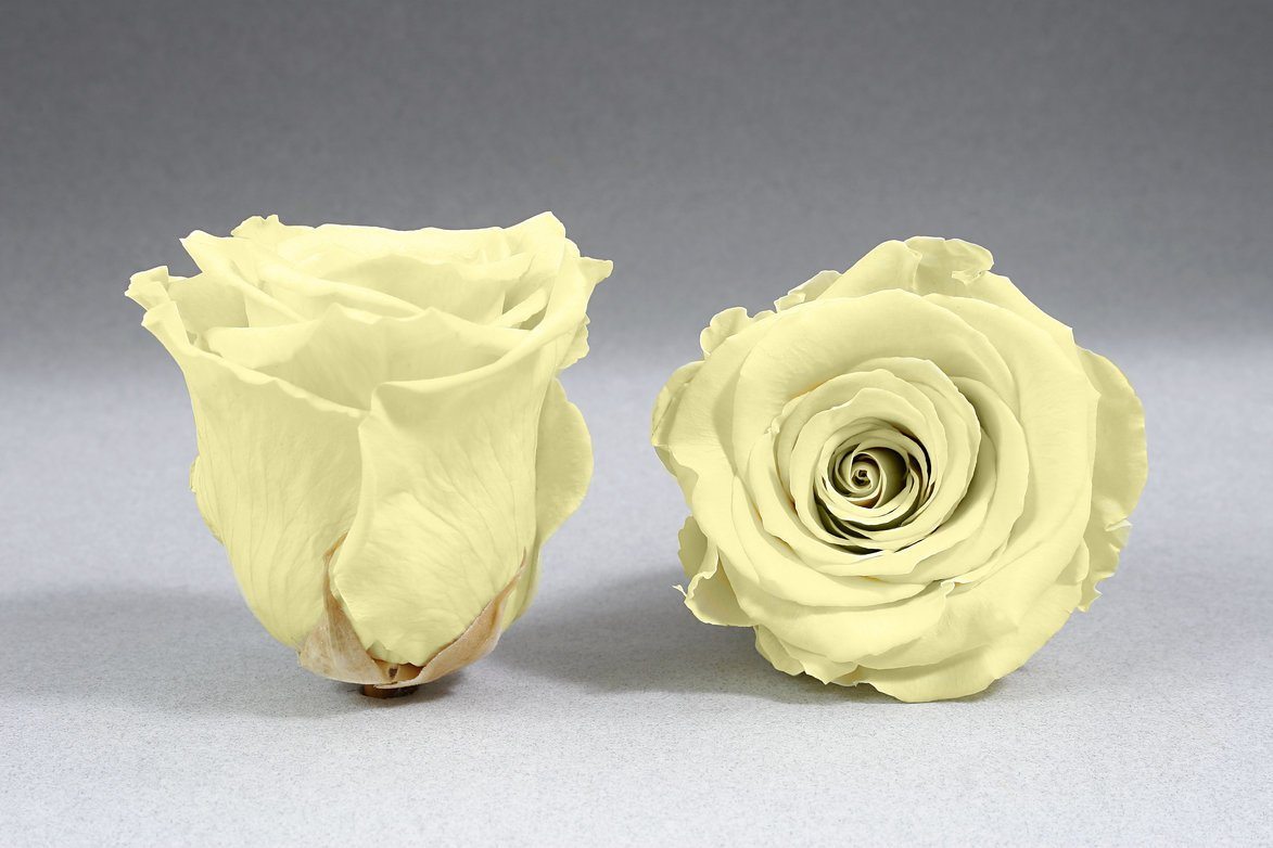 Caja Acrilica de Rosas Eternas | The Prestige Roses - The Prestige Roses Madrid