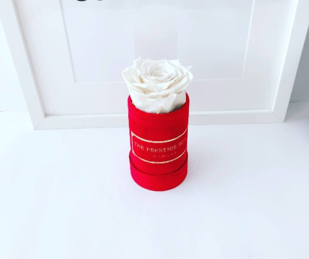 Caja Le Mini Terciopelo - The Prestige Roses - The Prestige Roses Madrid