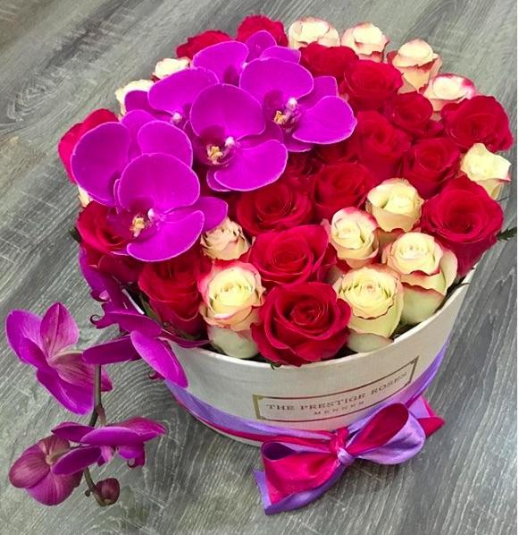 2 Razones por las que Comprar Orquídeas y Rosas - The Prestige Roses Madrid