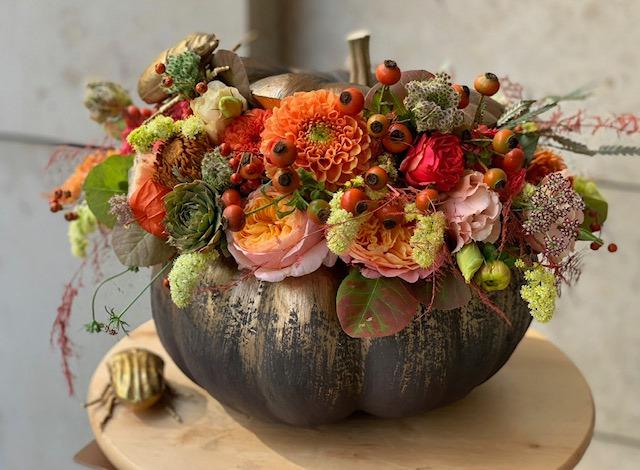 Coleccion calabaza - Arte de Calabaza