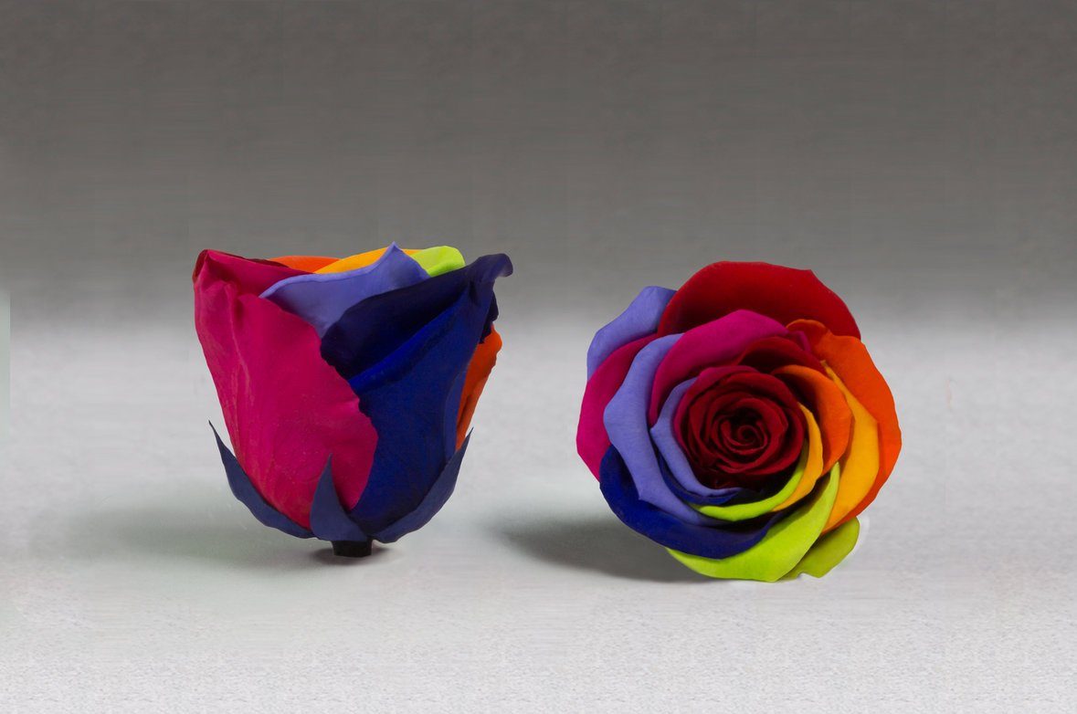 Caja Acrilica de Rosas Eternas | The Prestige Roses - The Prestige Roses Madrid