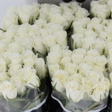 Colección Rosas Frescas - Caja Forma de Corazón - The Prestige Roses España - The Prestige Roses Madrid