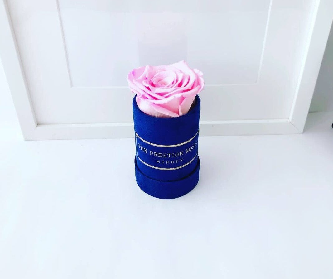 Caja Le Mini Terciopelo - The Prestige Roses - The Prestige Roses Madrid