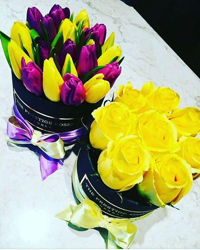 La Mejor Colección de Tulipanes - The Prestige Roses España - The Prestige Roses Madrid