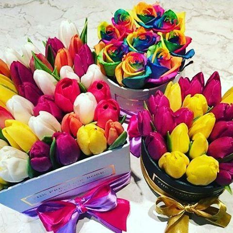 La Mejor Colección de Tulipanes - The Prestige Roses España - The Prestige Roses Madrid