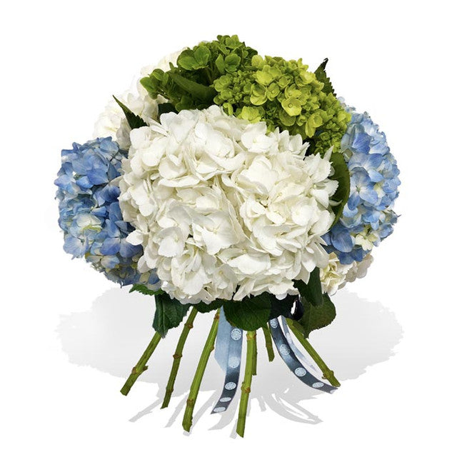 Ramo de hortensias naturales frescas - The Prestige Roses España