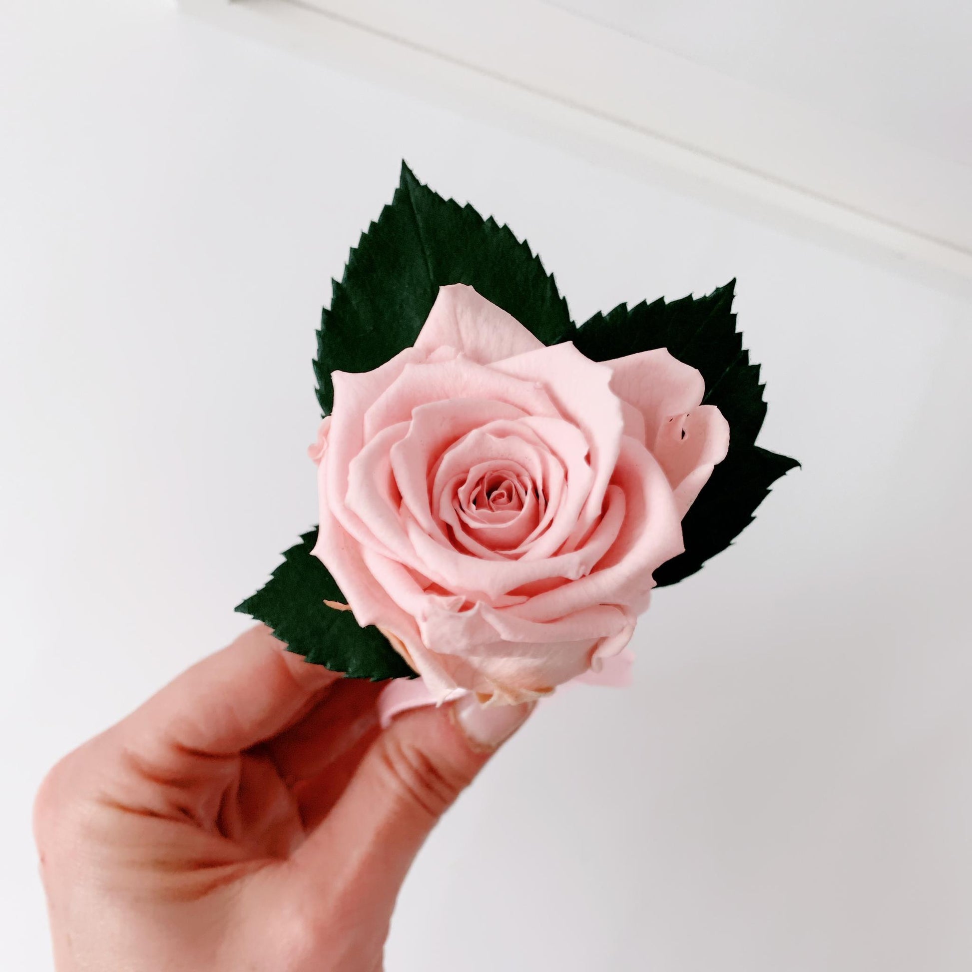 Ramo de novia de flores preservadas - The Prestige Roses Espana