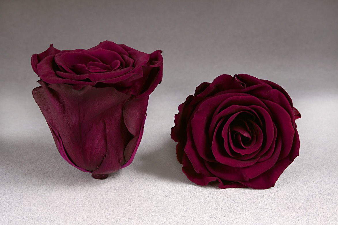 Caja Acrilica de Rosas Eternas | The Prestige Roses - The Prestige Roses Madrid