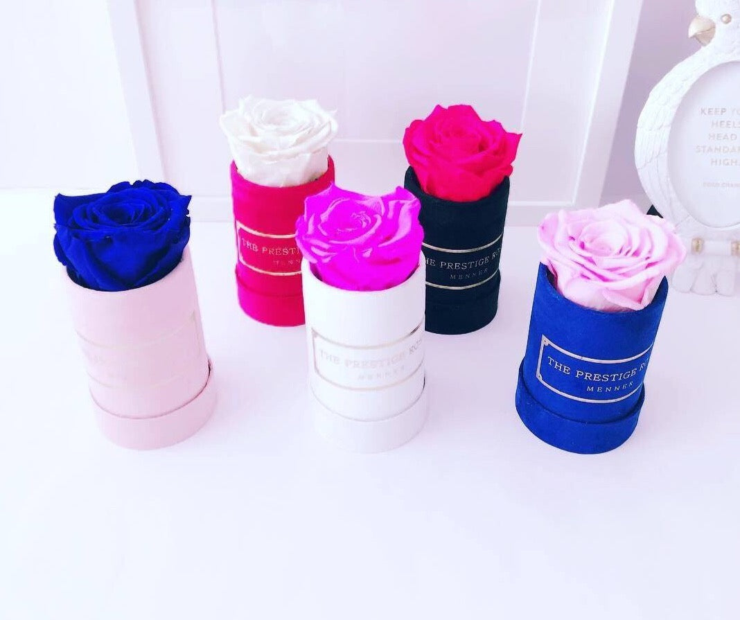 Caja Le Mini Terciopelo - The Prestige Roses - The Prestige Roses Madrid