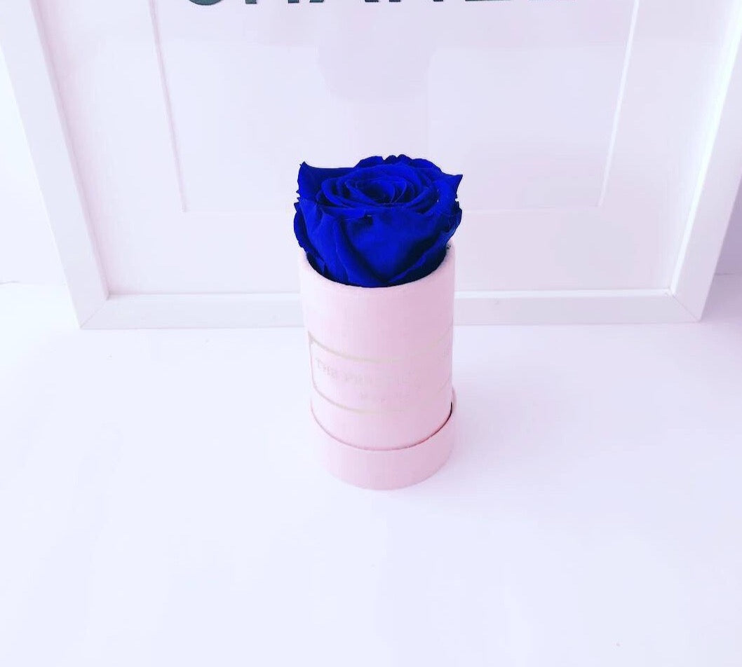 Caja Le Mini Terciopelo - The Prestige Roses - The Prestige Roses Madrid