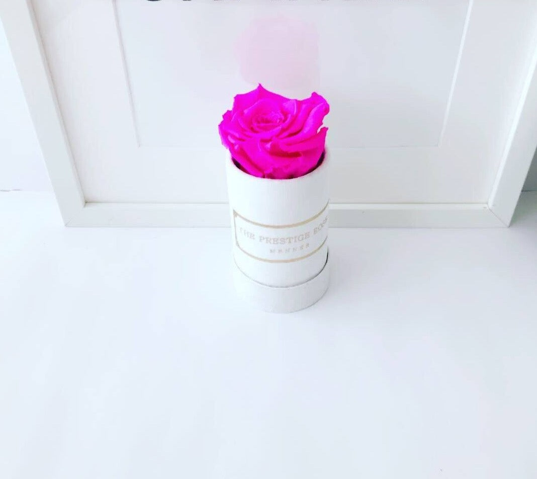 Caja Le Mini Terciopelo - The Prestige Roses - The Prestige Roses Madrid