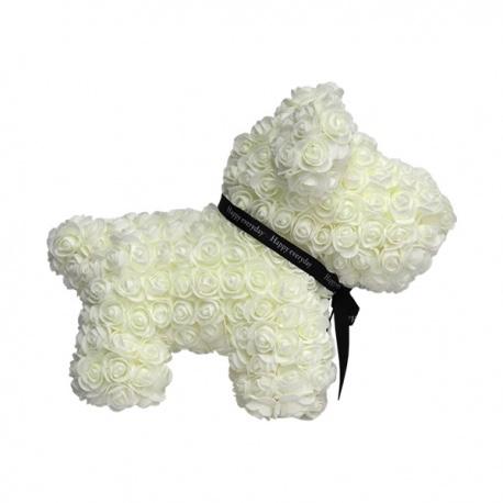 Rose Dog Blanco - Perro de Rosas - The Prestige Roses España - The Prestige Roses Madrid