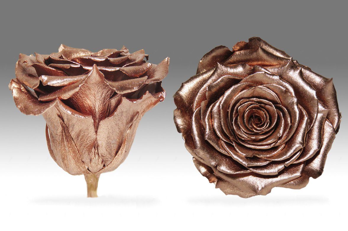 Caja Acrilica de Rosas Eternas | The Prestige Roses - The Prestige Roses Madrid