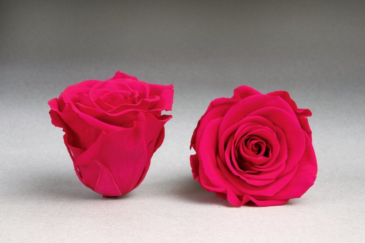 Caja Acrilica de Rosas Eternas | The Prestige Roses - The Prestige Roses Madrid