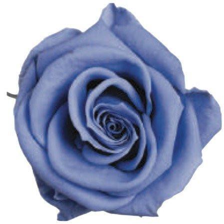 Colección Rosas Preservadas - Caja Acrylica - The Prestige Roses España - The Prestige Roses Madrid