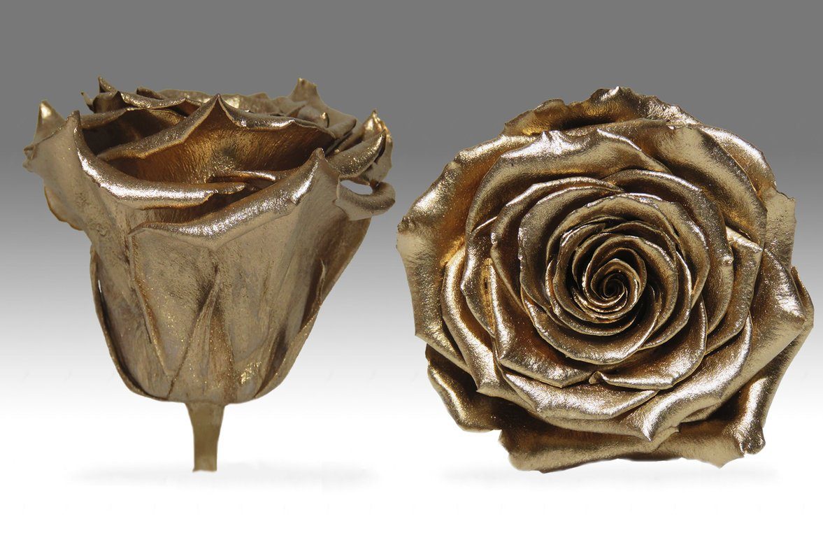 Caja Acrilica de Rosas Eternas  | The Prestige Roses - The Prestige Roses Madrid