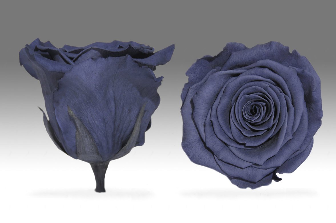Caja Acrilica de Rosas Eternas | The Prestige Roses - The Prestige Roses Madrid