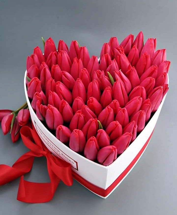 La Mejor Colección de Tulipanes - The Prestige Roses España - The Prestige Roses Madrid