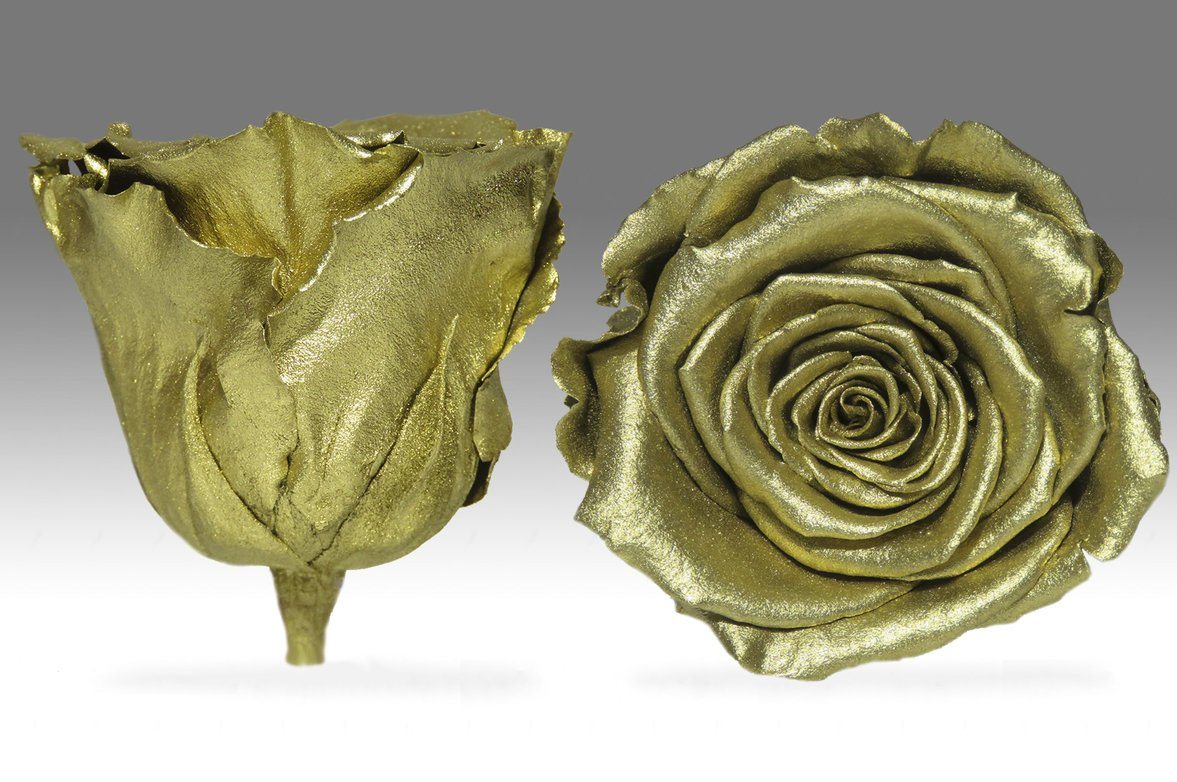 Caja Acrilica de Rosas Eternas  | The Prestige Roses - The Prestige Roses Madrid