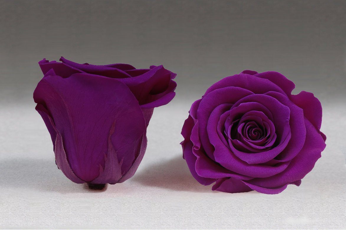Caja Le Mini Terciopelo - The Prestige Roses - The Prestige Roses Madrid