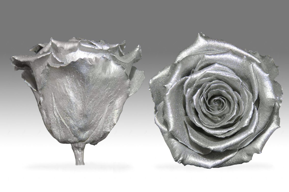Caja Acrilica de Rosas Eternas | The Prestige Roses - The Prestige Roses Madrid
