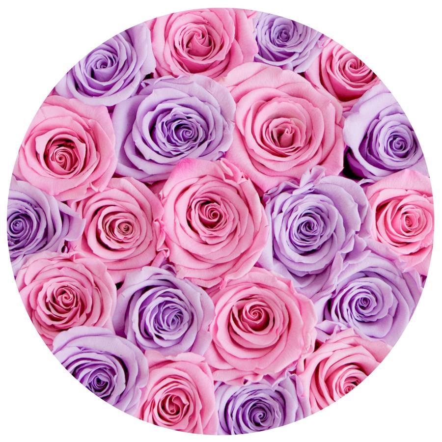 Rosas Arcoíris Preservadas - The Prestige Roses Madrid