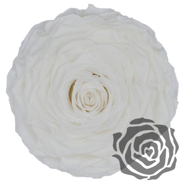 Ramo de novia de flores preservadas - The Prestige Roses Espana - The Prestige Roses Madrid