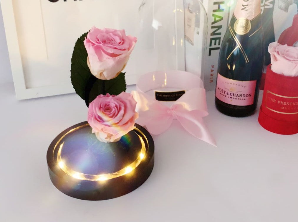 Colección cúpula de La Rosa Bella y Bestia  - De Rosas Preservadas