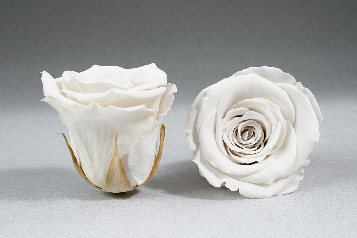 Caja Blanco Grande de Rosas Frescas Blancas | The Prestige Roses - The Prestige Roses Madrid
