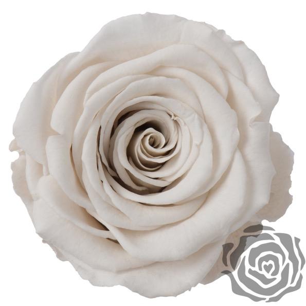Ramo de novia de flores preservadas - The Prestige Roses Espana - The Prestige Roses Madrid